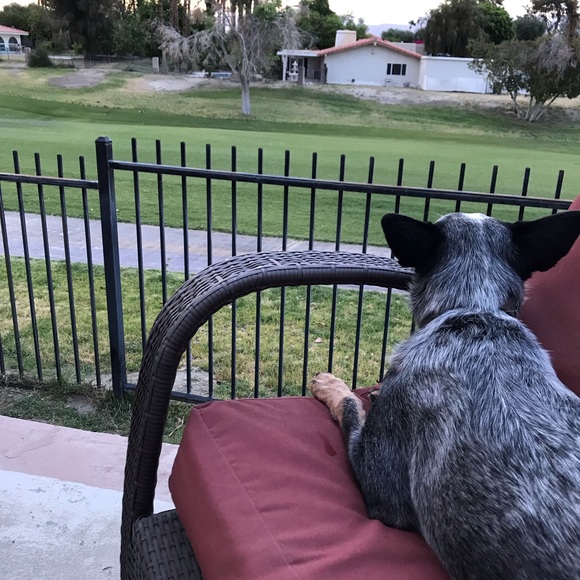 Meet your Posher, Eileen - Picture 1 of 1